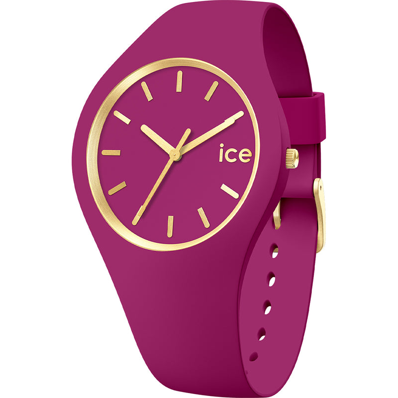 Ice Watch Horloge 020 540 - Kunststof, Waterdicht, Dames