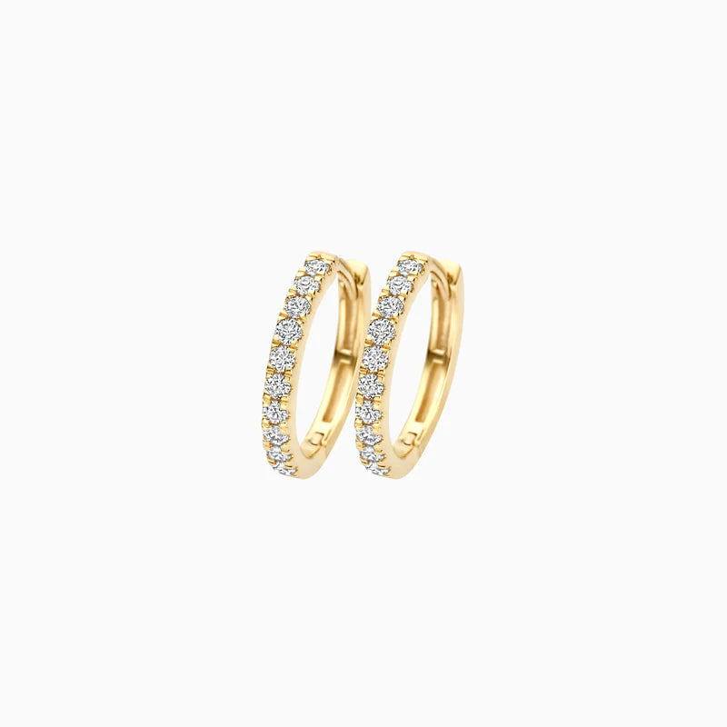 Blush Oorringen 250.367 - Geel Goud 14ct, Labgrown Diamant