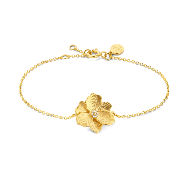 Diamanti Per Tutti Armband 250.425 - Verguld Diamant