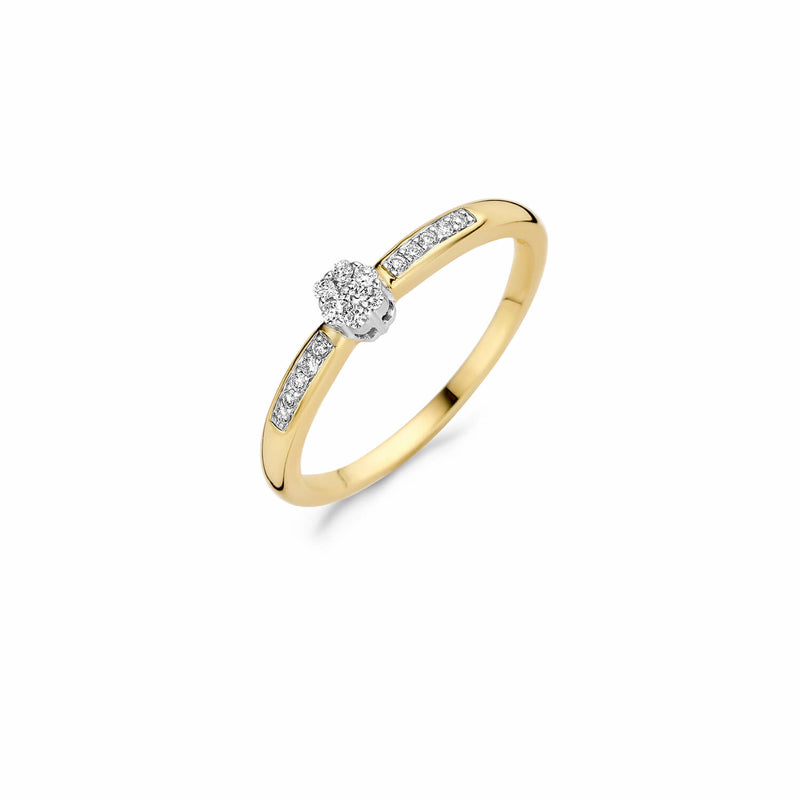 Blush Ring 210.671 - Bicolor Goud 14ct, Diamant, Maat 56