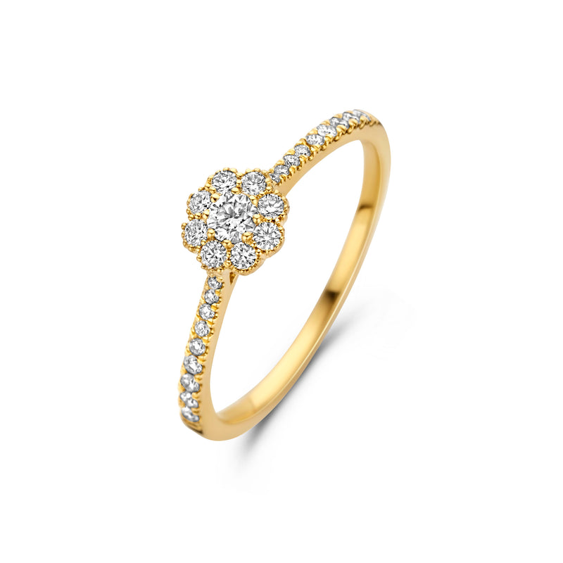 Dulci Nea Ring 210.900 - Geel Goud 18ct, Diamant 0,30ct